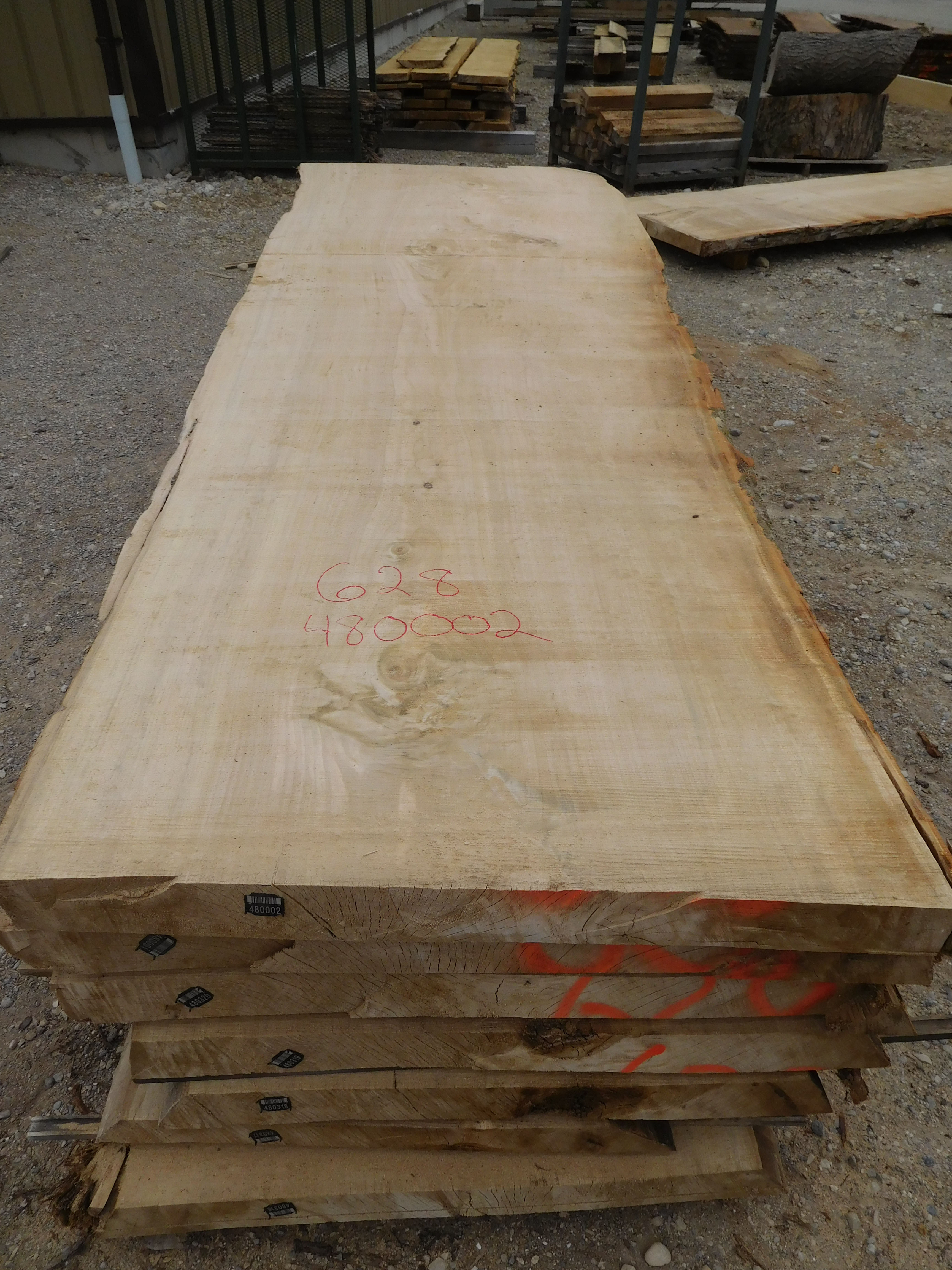 Bauman Sawmill Cottonwood Log 628 12'