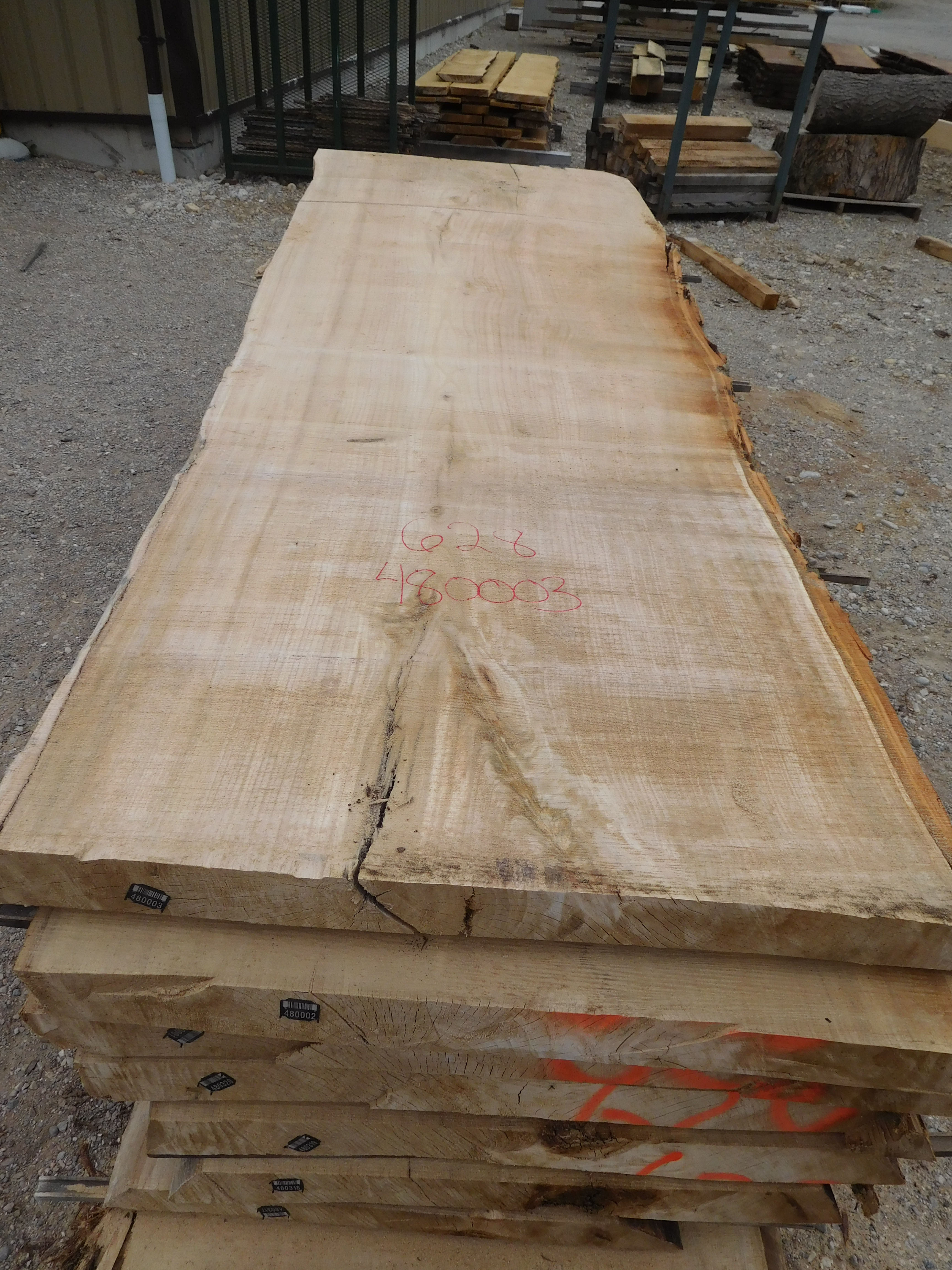 Bauman Sawmill Cottonwood Log 628 12'