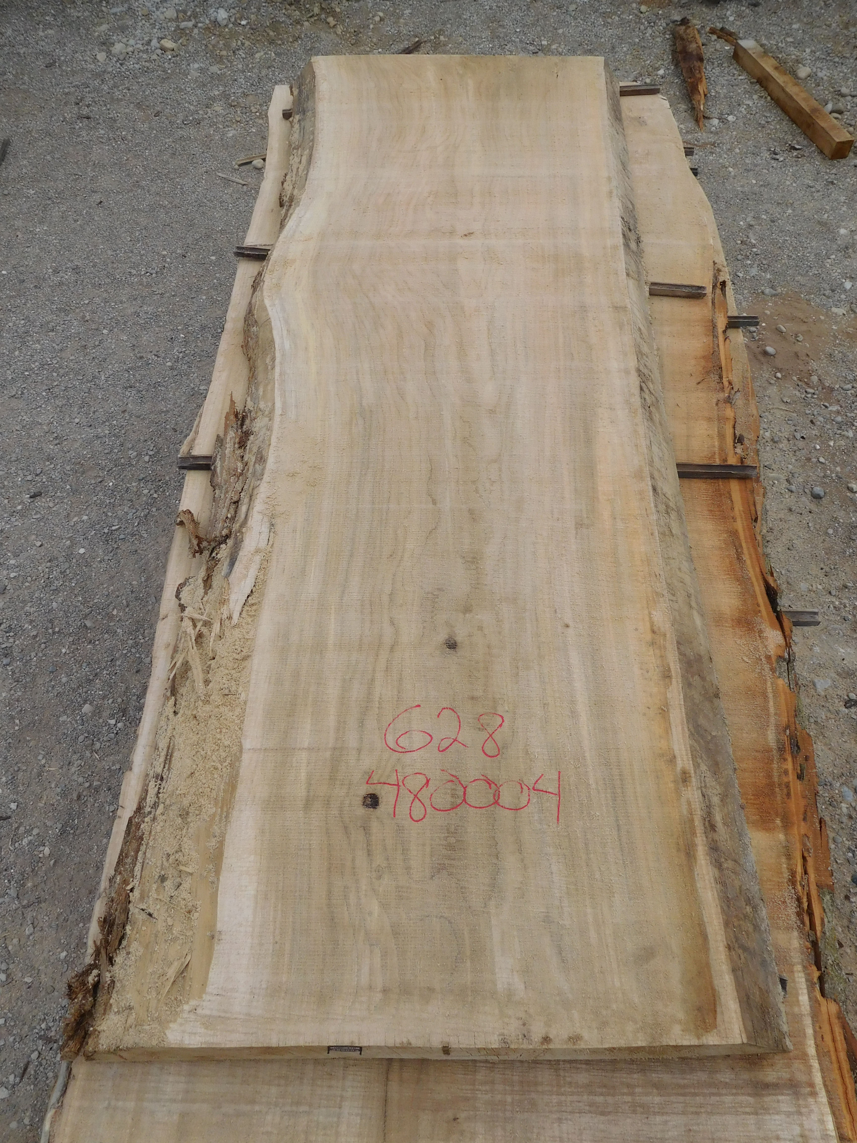 Bauman Sawmill Cottonwood Log 628 12'